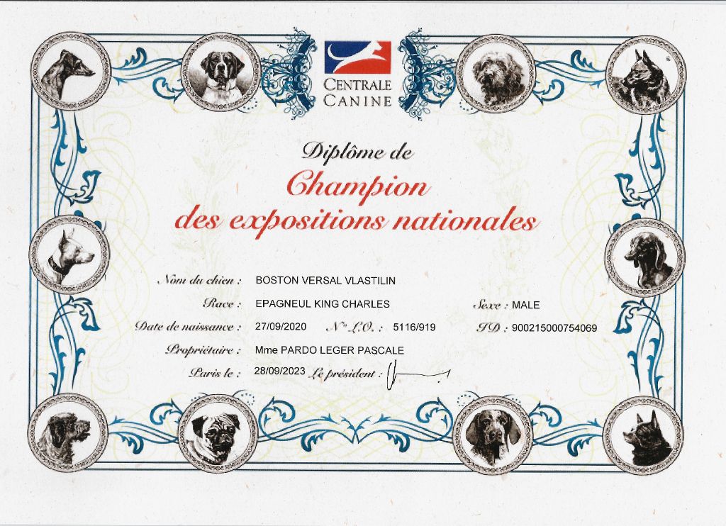 des brandes de beaulieu - CHAMPION DES EXPOSITIONS NATIONALES 