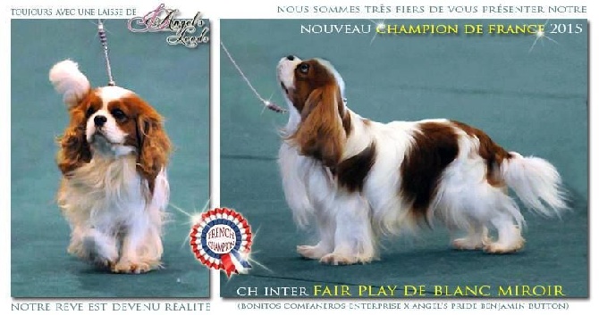 des brandes de beaulieu - Mariage INFANTE D ESPAGNE & CH Fair Play De Blanc Miroir 