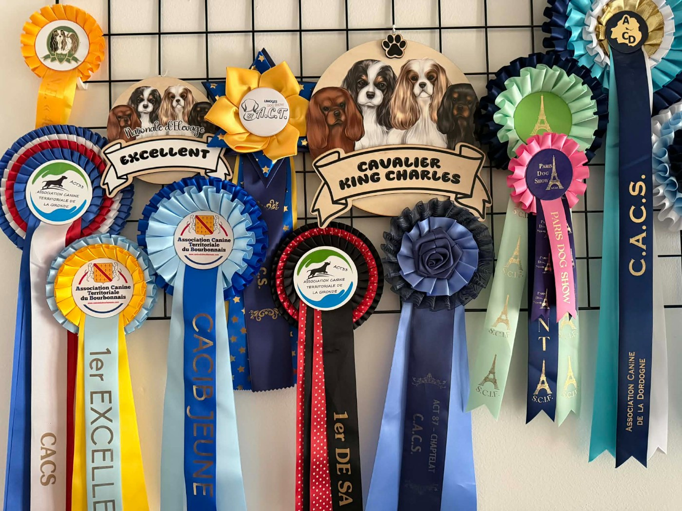 des brandes de beaulieu - EXPOSITION INTERNATIONALE DE MONTLUCON 15 MARS 2026