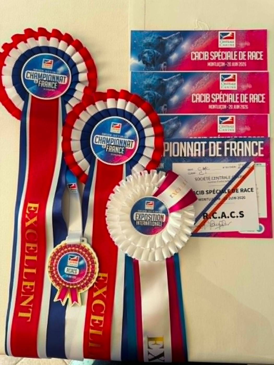 des brandes de beaulieu - CHAMPIONNAT DE FRANCE 2026