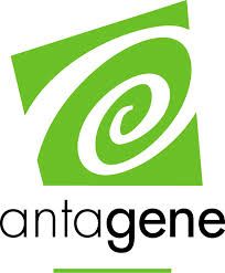 des brandes de beaulieu - TESTS GENETIQUES ANTAGENE